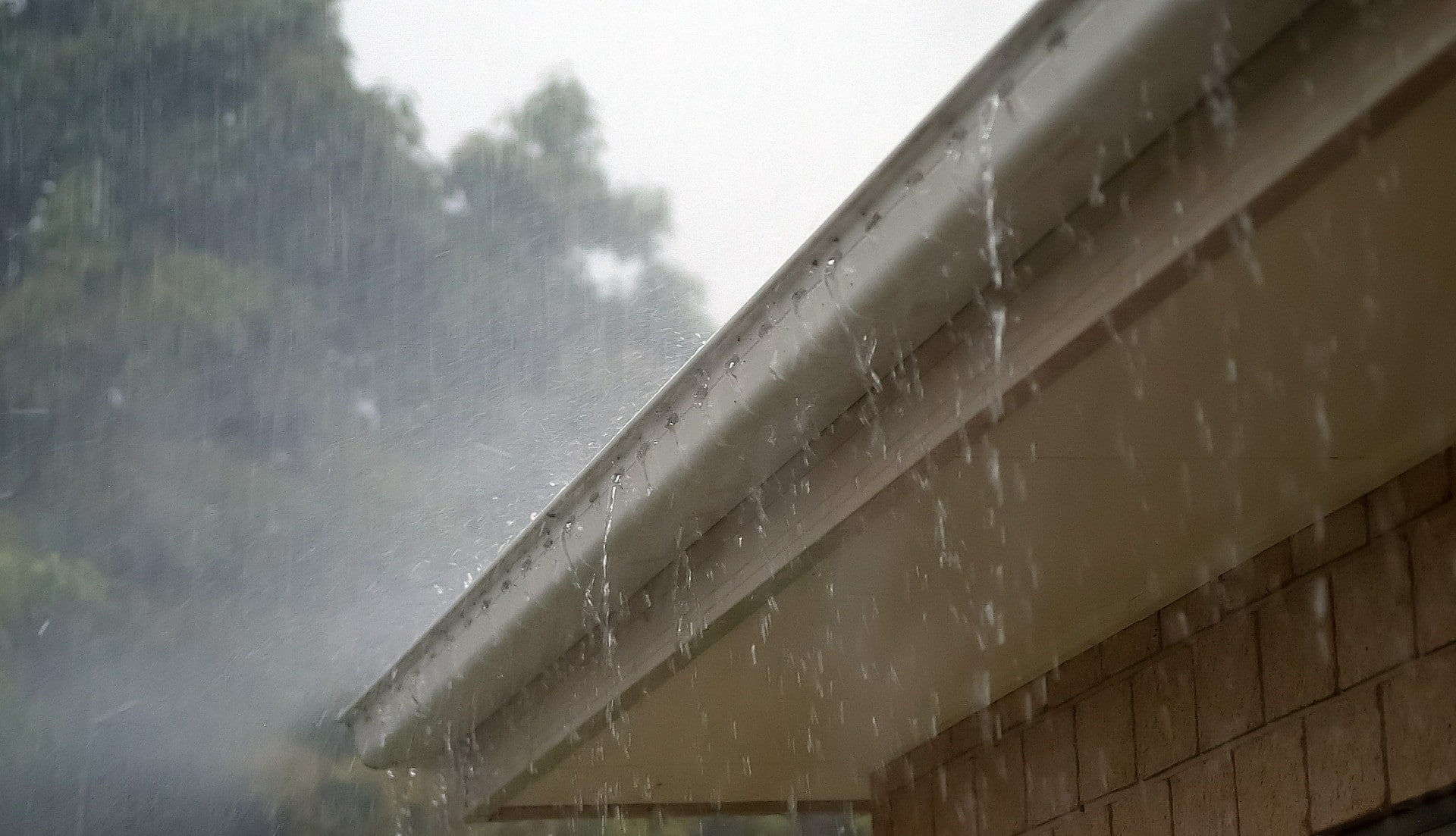 regengoot