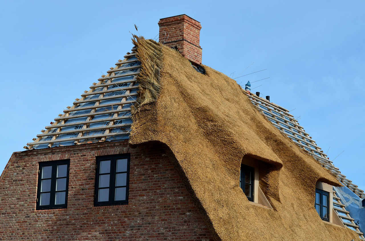 Rieten dak huis